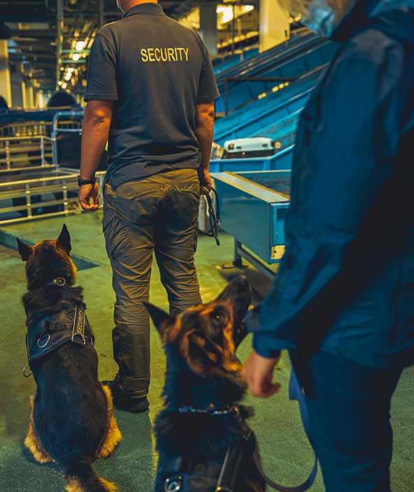 空港で訓練を受けた犬と一緒に立つ警備員