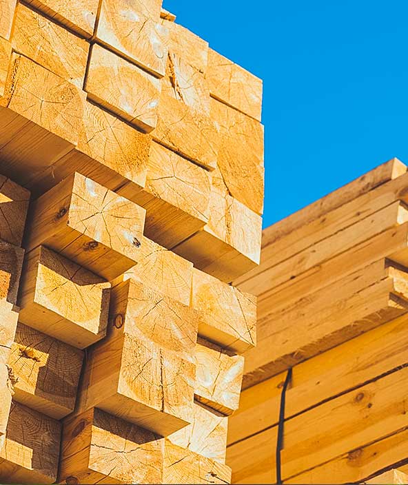 Pannelli in legno, legname, legno industriale, legno da costruzione