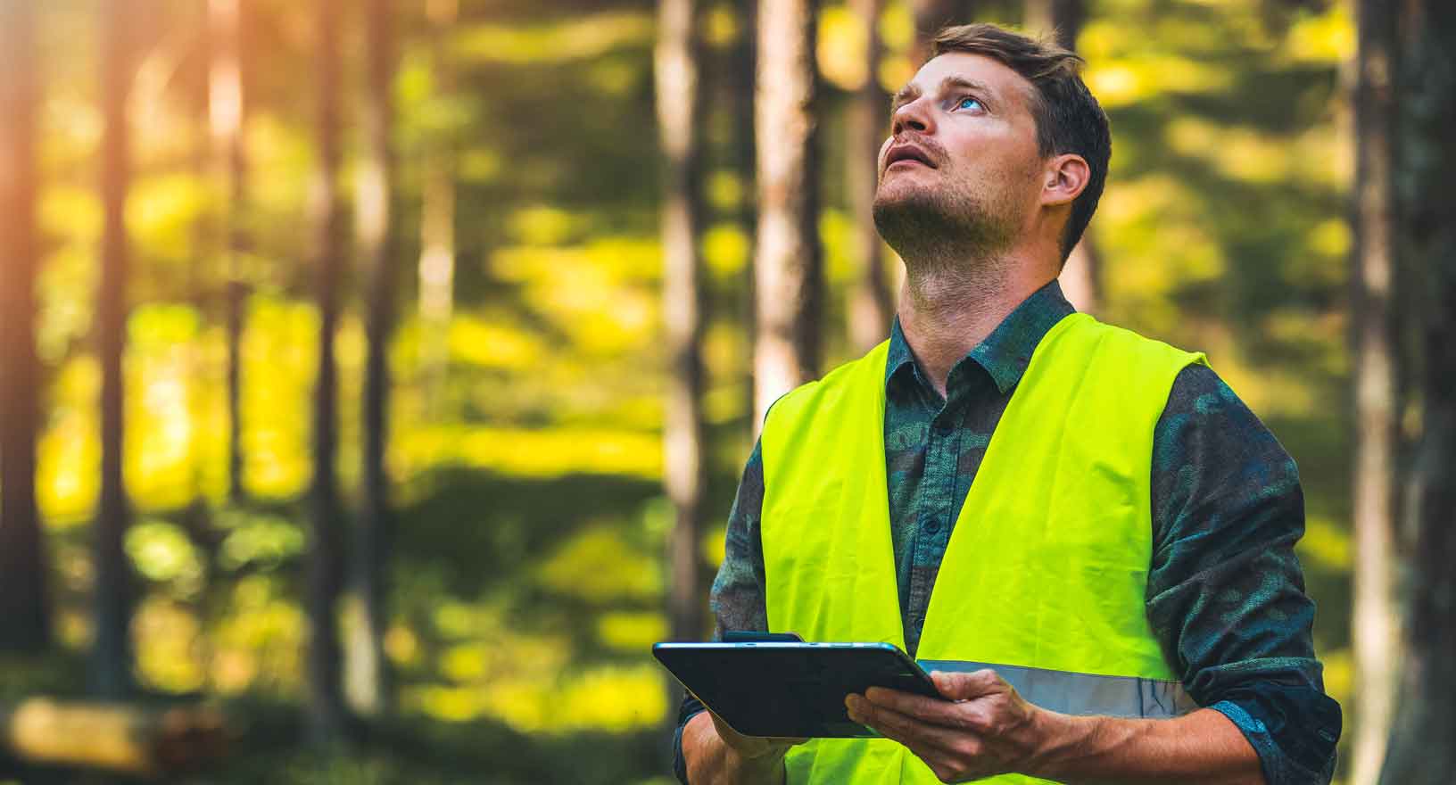 Guardia forestale mentre utilizza strumenti digitali per la gestione delle foreste 