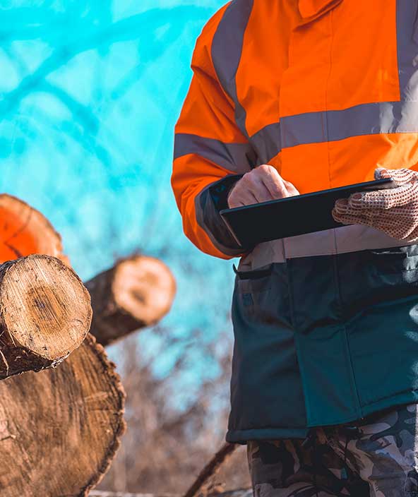 Forestry technician using a digital solution