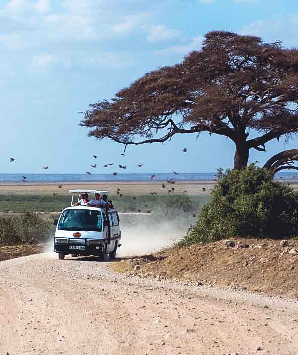 Van on road in Kenya