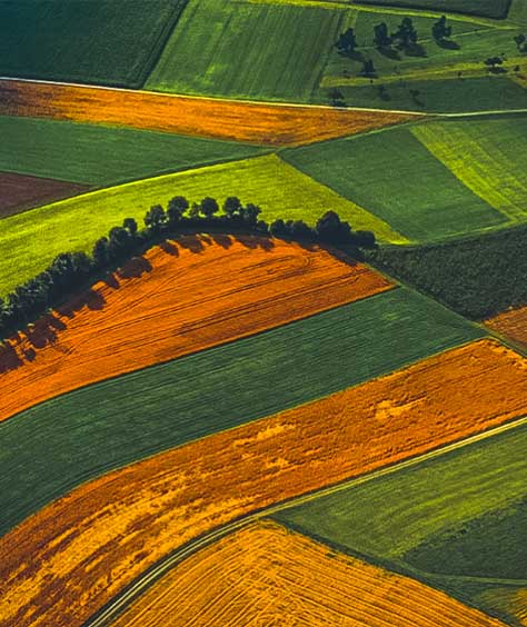 Vista aérea da operação agrícola