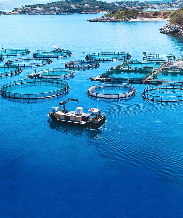 panorama of a fish farm off of an island
