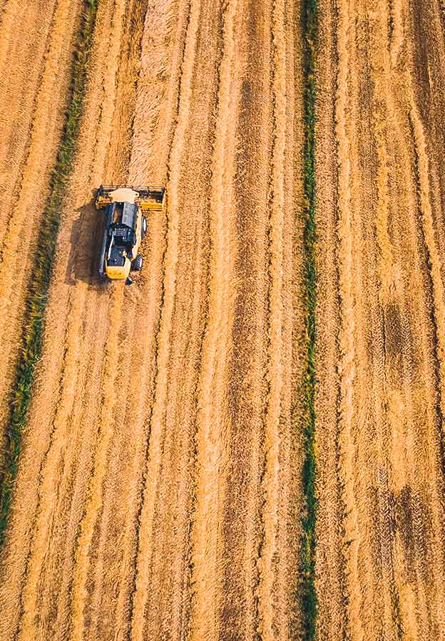 Aerial view of farming combine harvesting rows of grain crops