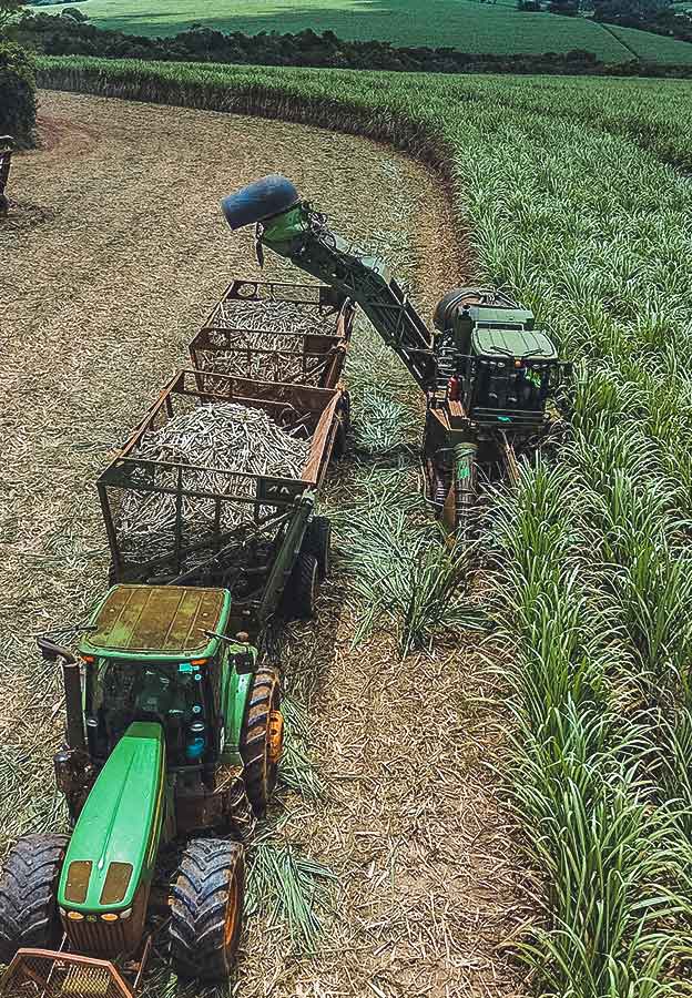 Solutions d'irrigation pour les producteurs de canne à sucre
