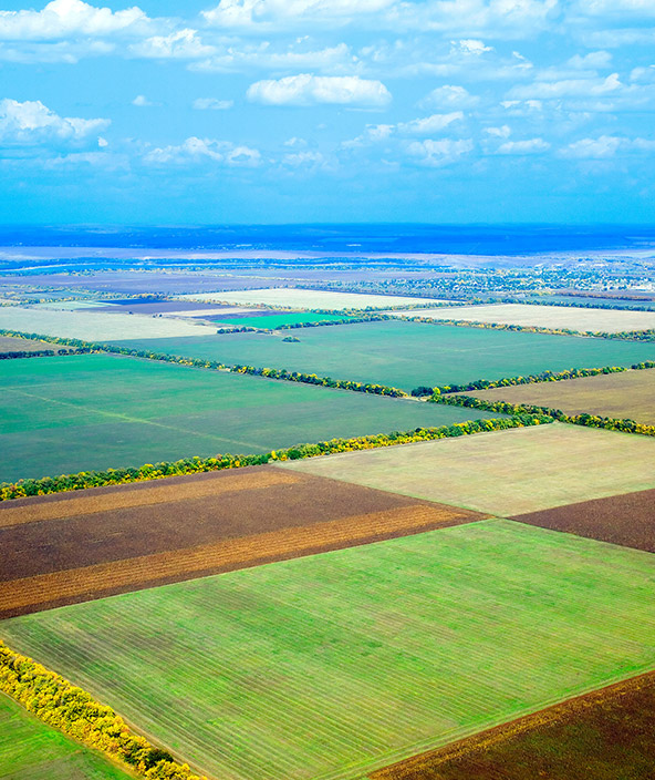 Landwirtschaftliche Flurstücke