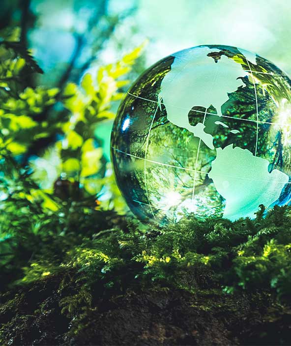 Stilisiertes Bild einer vernetzten Welt auf einem grünen Vorder- und Hintergrund.