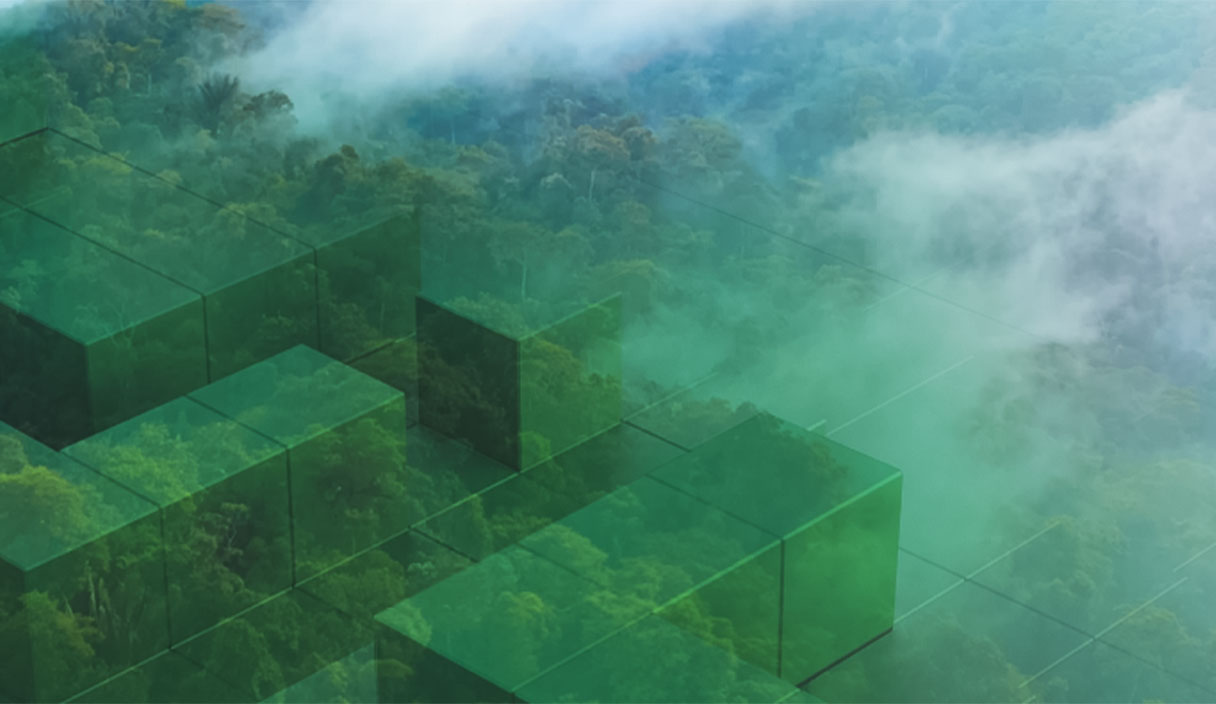 A R-evolution da Hexagon lança o Green Cubes