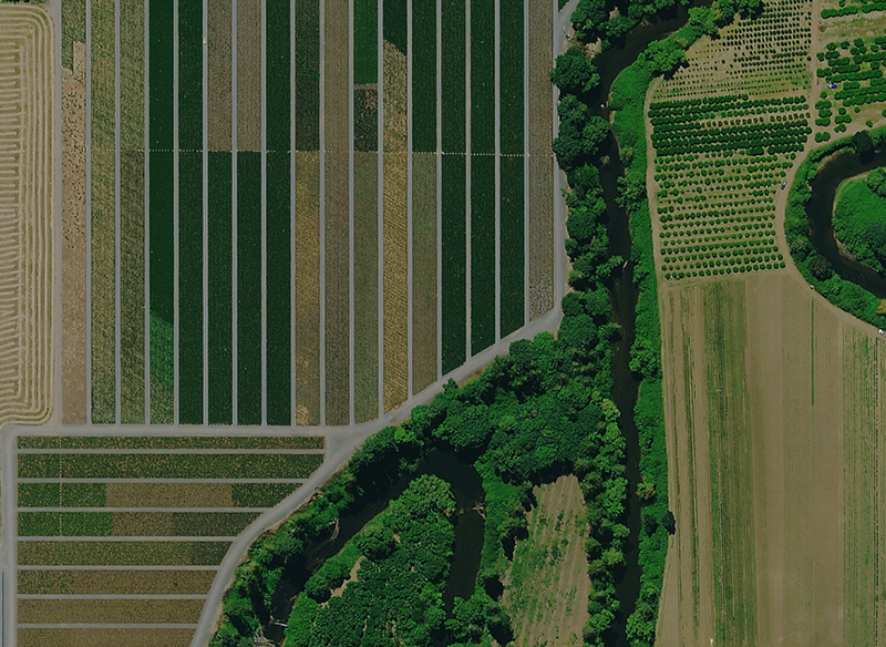 Luftbilddaten von Nutzpflanzen und Ackerland in Texas