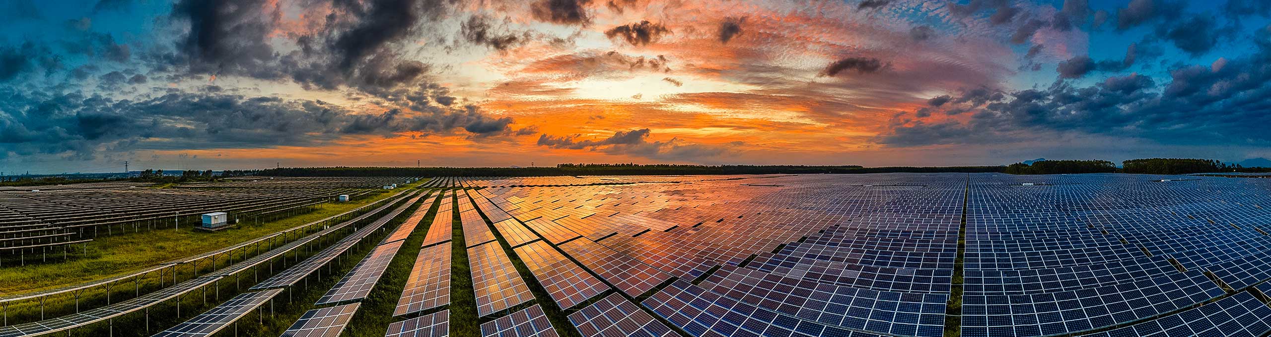 A field of solar panels at sunset