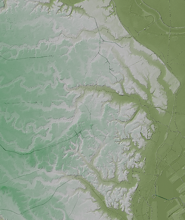 Aerial elevation data of river deltas in Tokyo