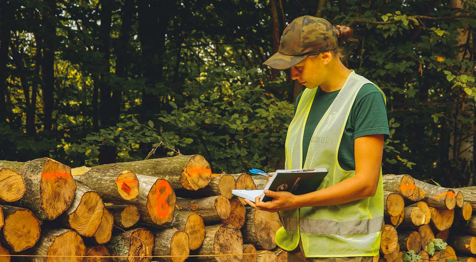 Forestale al lavoro nei pressi di un bosco mentre controlla del legname 