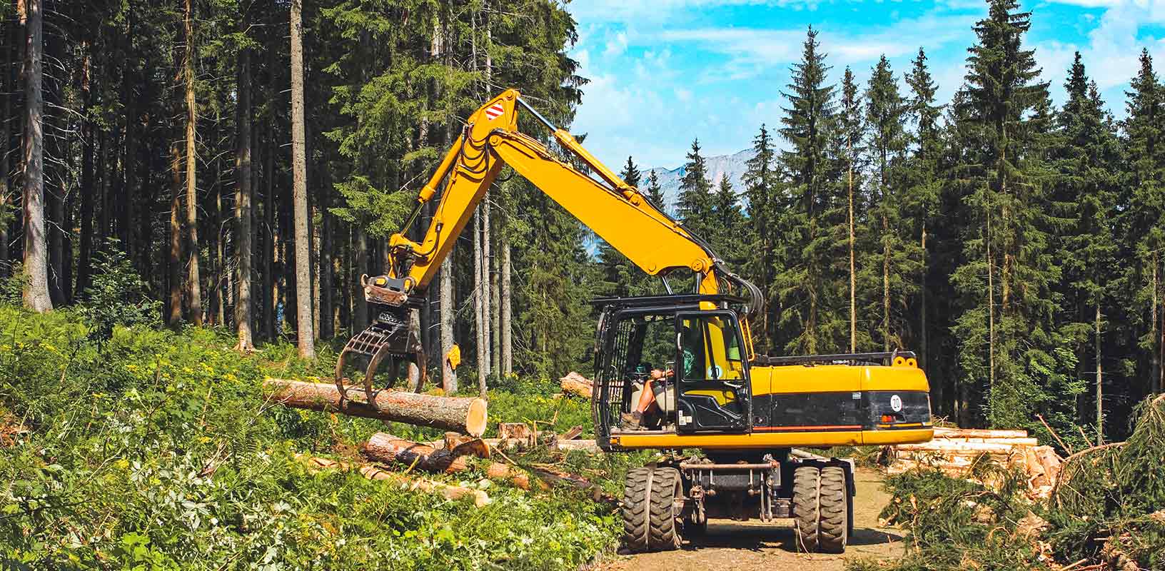 Equipamiento pesado de los técnicos forestales en un sitio de tala 