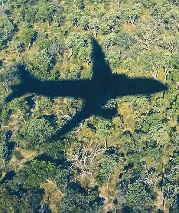 The shadow of an airplane over a field of trees