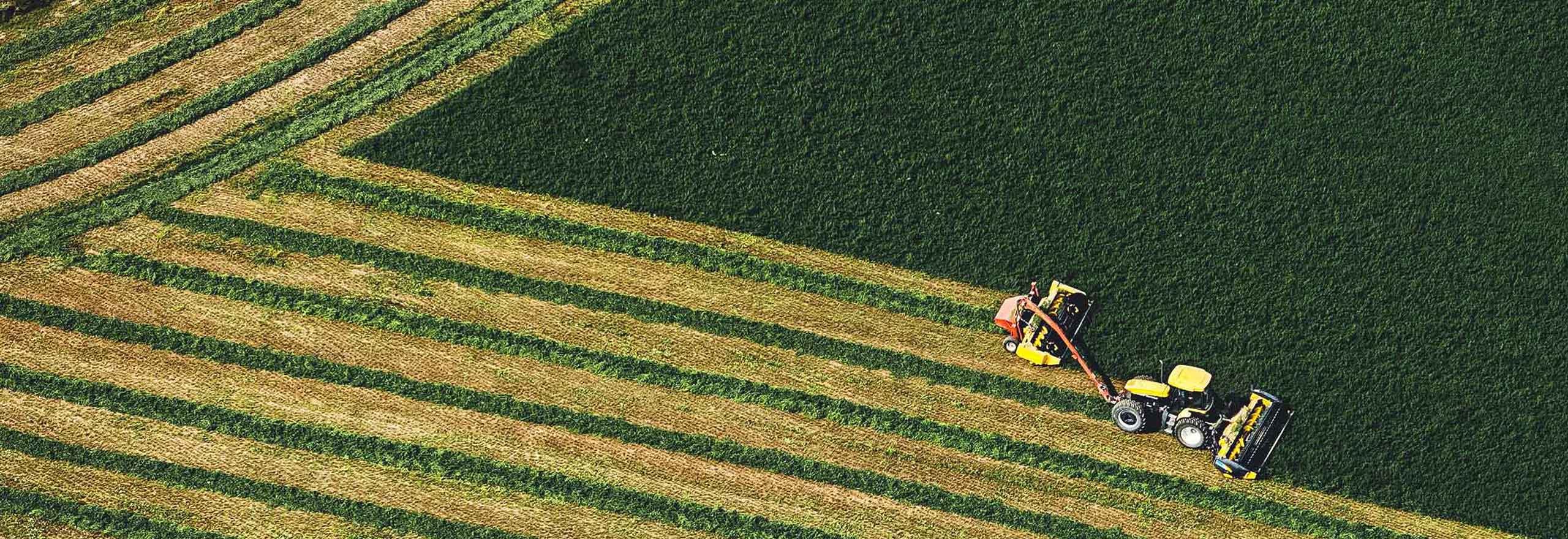 Vista aérea de un tractor con un apero cosechando heno (Texto alternativo predeterminado: «Vista aérea de un tractor con un apero cosechando heno»). 