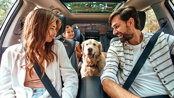 Young family in car with their dog