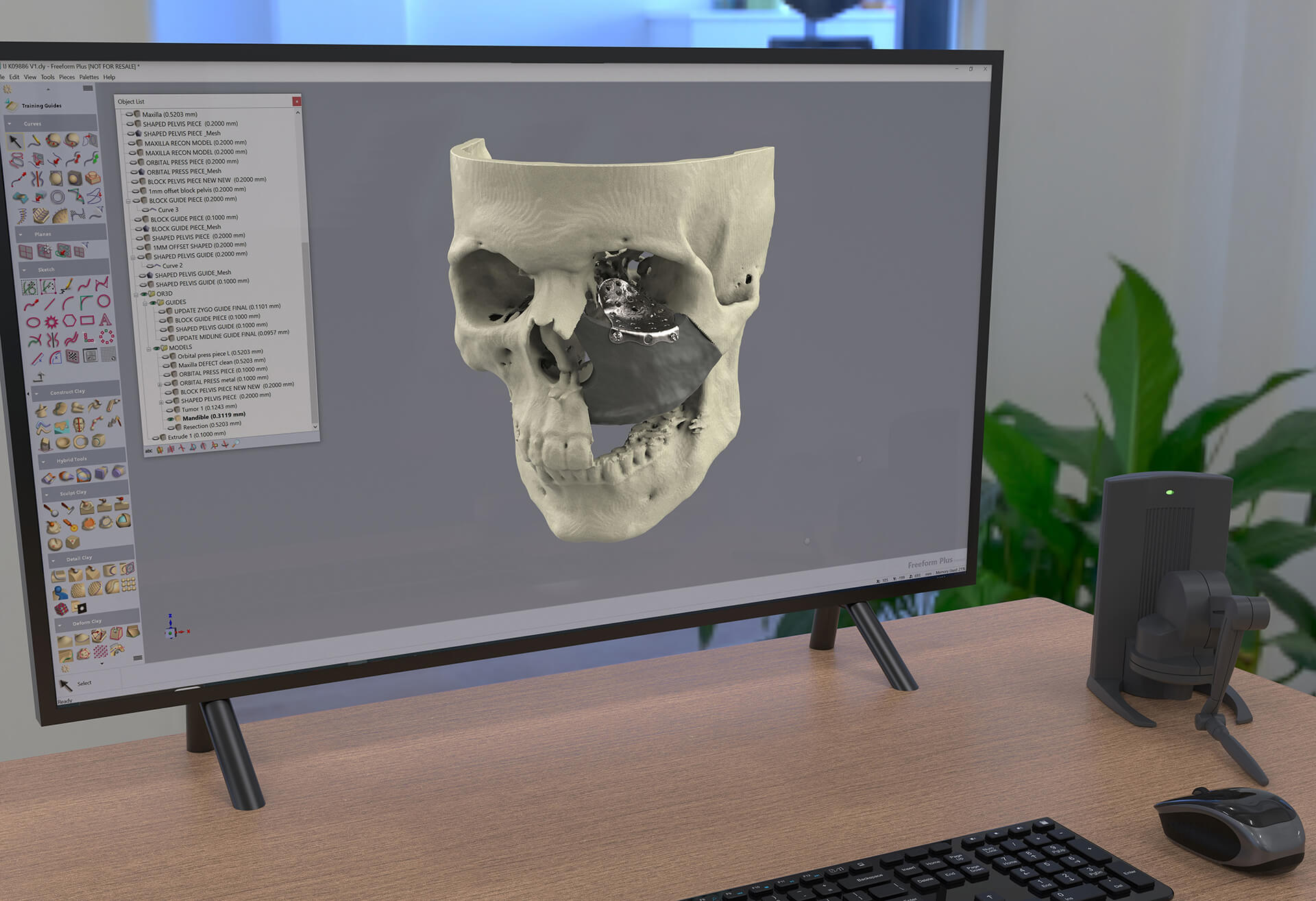 3D image of human skull inside Geomagic Freeform