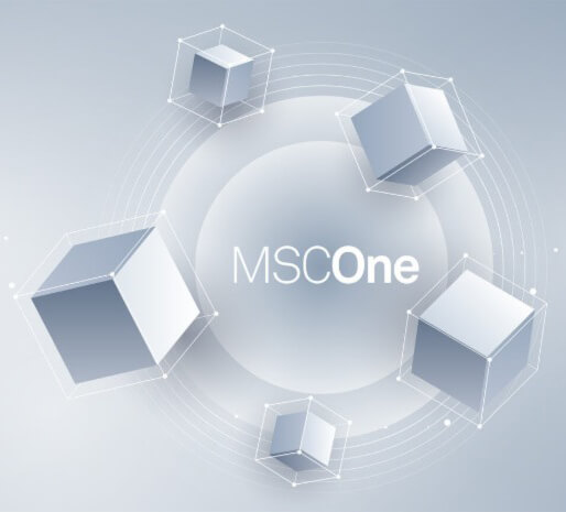 MSCOne image for brochure
