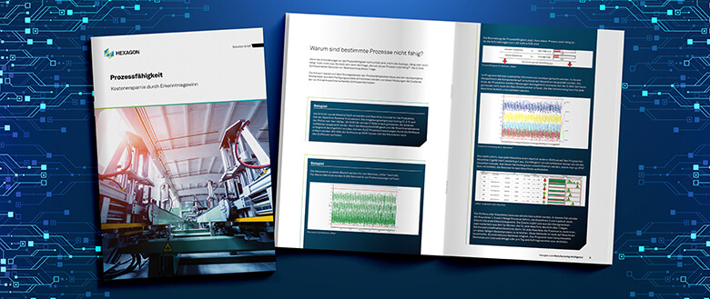Screenshot of .pdf