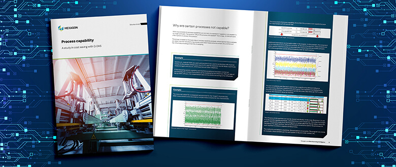 Screenshot of the .pdf