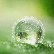 A close up image of a raindrop on a leaf