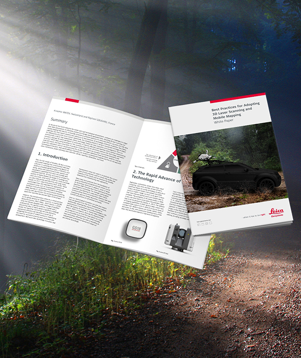 Machine mobile mapping scanner