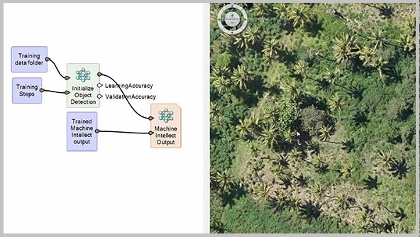 oil palm mapping video screenshot