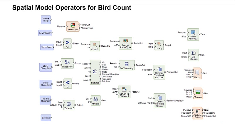 spatial model operators for bird count