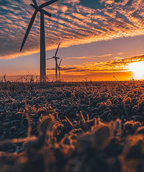 Three commercial wind turbines in thick fog at sunrise in the English countryside
