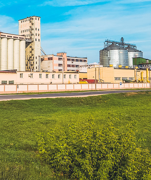 農産物、小麦粉、穀物の加工および保管を行う農産物加工工場