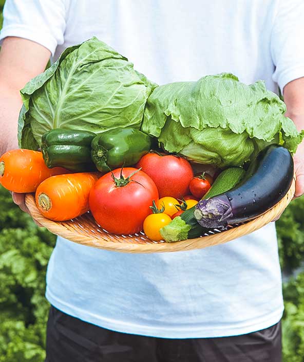 野菜のお皿をつかむ子供
