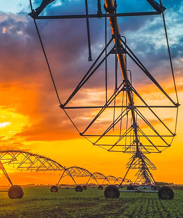 Système d’irrigation agricole automatisé au coucher du soleil
