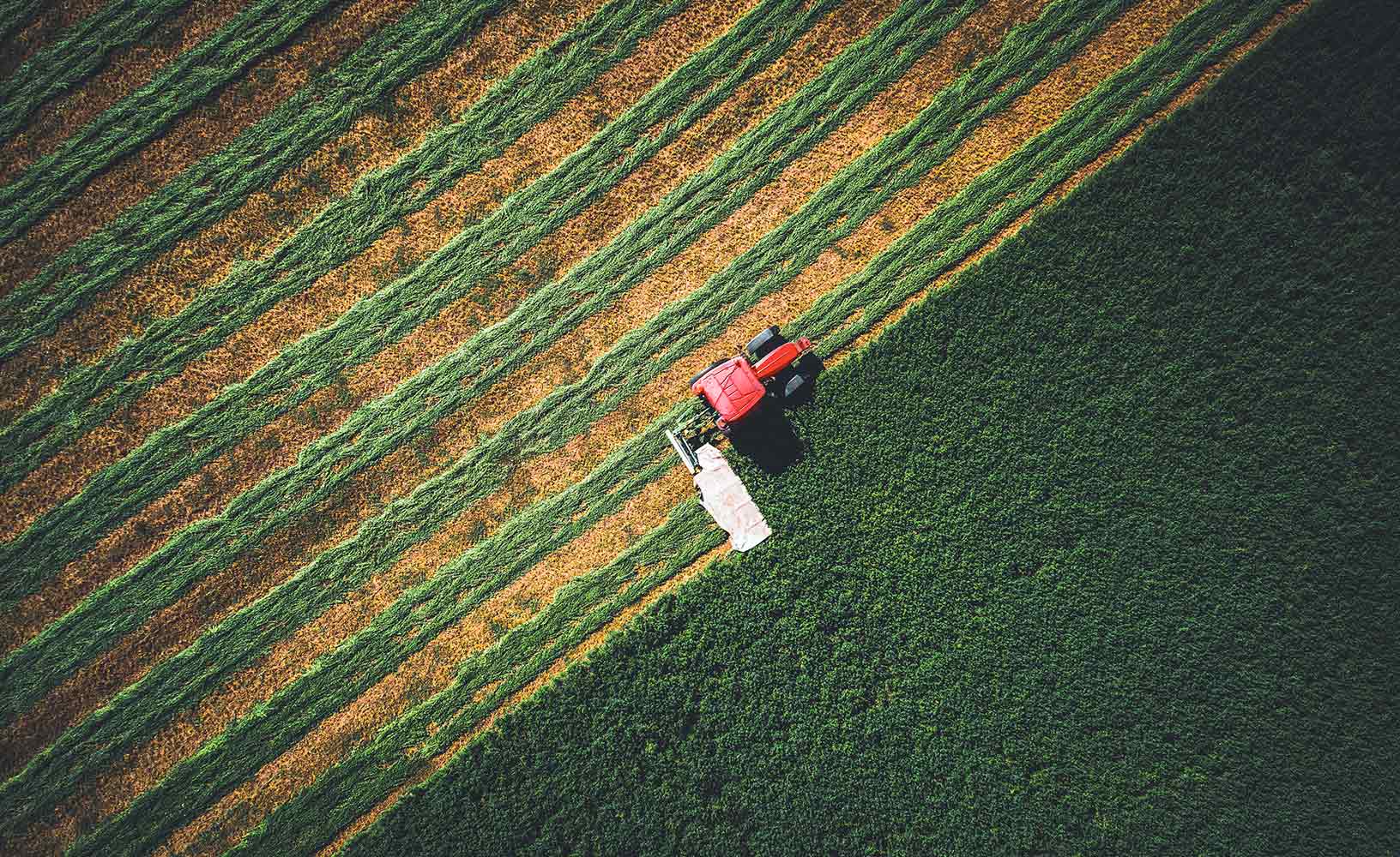 Ein Traktor, der Reihen von Nutzpflanzen auf einem weitläufigen Feld anlegt